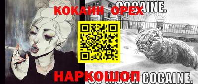 спиды Боровичи