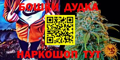jwh Братск