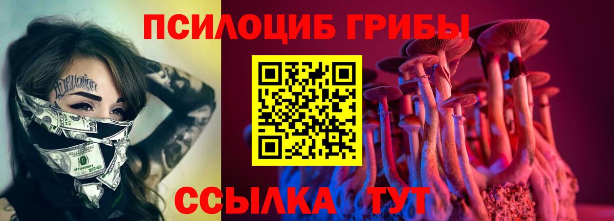 продажа наркотиков  Псилоцибиновые грибы мухоморы  Вход с VPN  Казань 